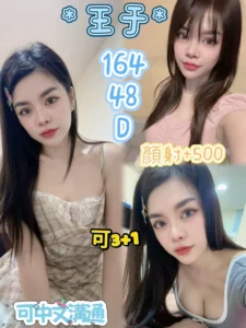 花蓮定點茶-王于/164/48/?/D