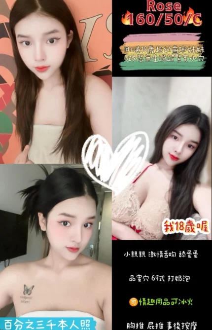 桃園定點茶-Rose/160/50/?/C