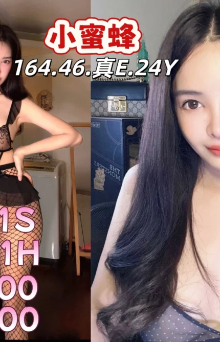 雲林定點茶-小蜜蜂/164/46/24/E