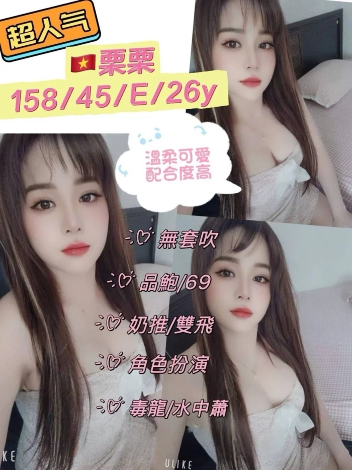 新北定點茶-栗栗/158/45/26/E