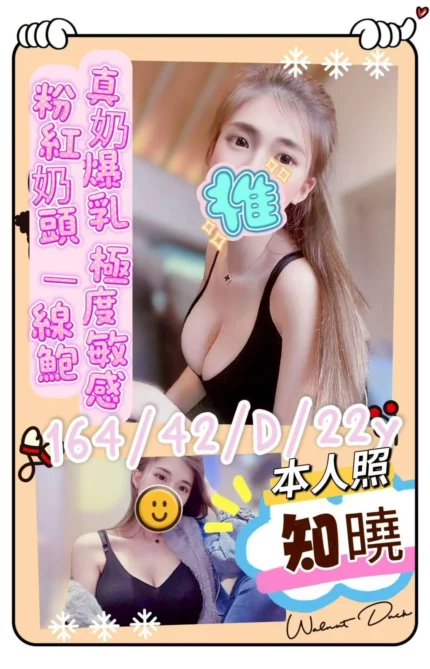 台南定點茶-知曉/164/42/22/D