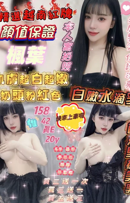 新竹定點茶-楓葉/158/42/20/E