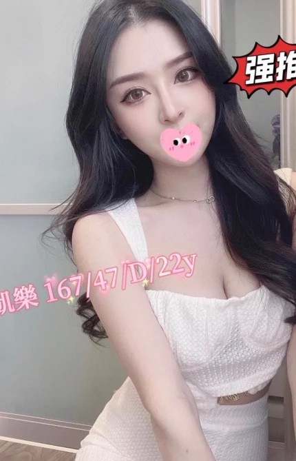 台中外送茶-凱樂/167/47/22/D