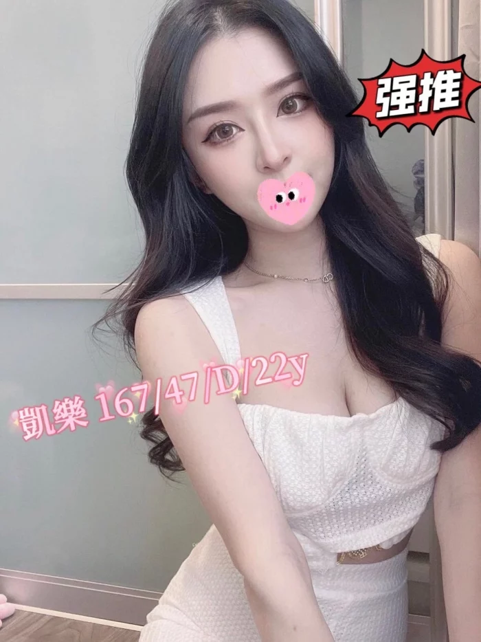 台中外送茶-凱樂/167/47/22/D