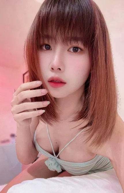 台北定點茶-向日葵/165/49/23/D