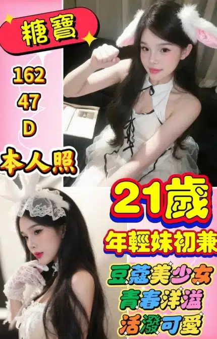 雲林定點茶-糖寶/162/47/21/D