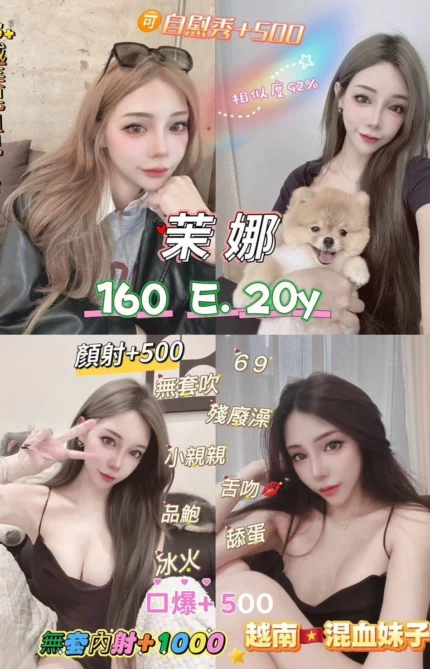 新北定點茶-茉娜/160/48/20/E