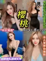 台北定點茶-櫻桃/160/43/22/D