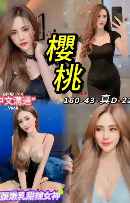 台北定點茶-櫻桃/160/43/22/D