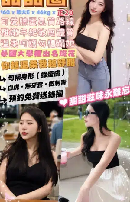 台北定點茶-甜甜圈/160/46/20/E