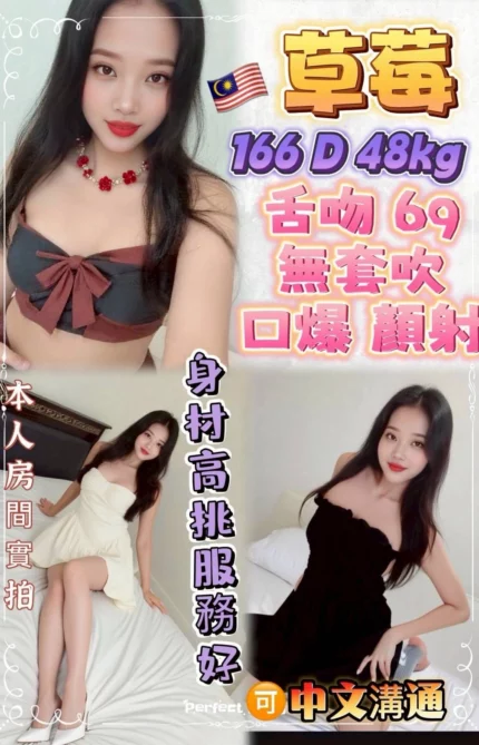 新北定點茶-草莓/166/48/23/D