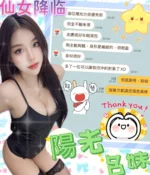 南投定點茶-陽光/162/46/?/C