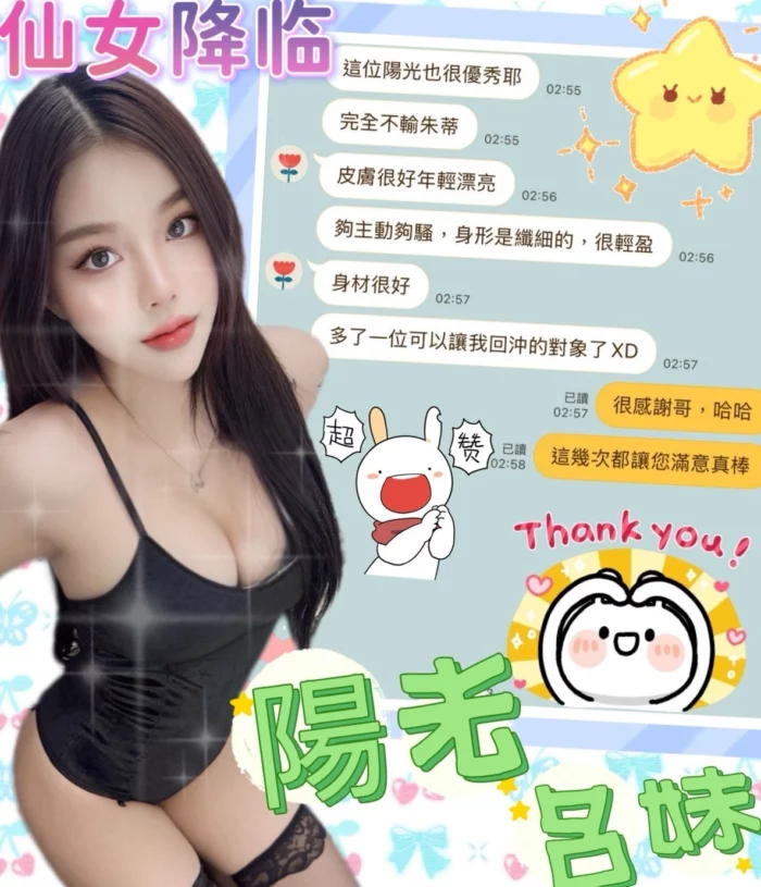南投定點茶-陽光/162/46/?/C