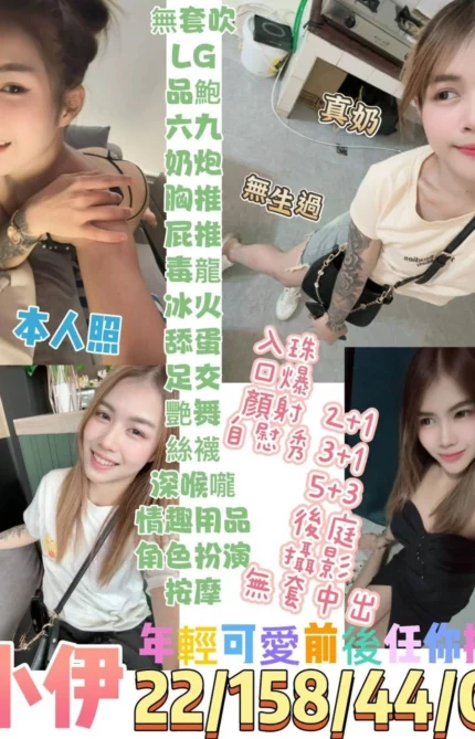 台東定點茶-小伊/158/44/22/C