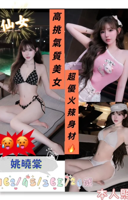 台南定點茶-姚曉棠/162/45/20/E