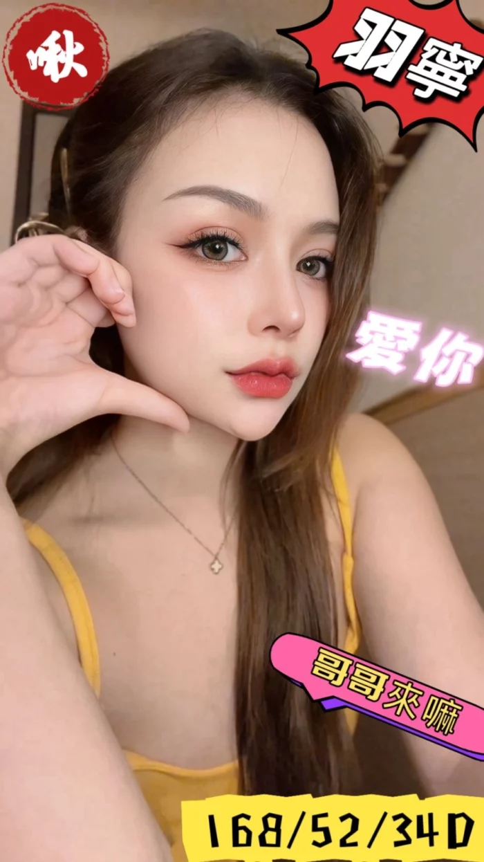 台中定點茶-羽寧/168/52/?/D
