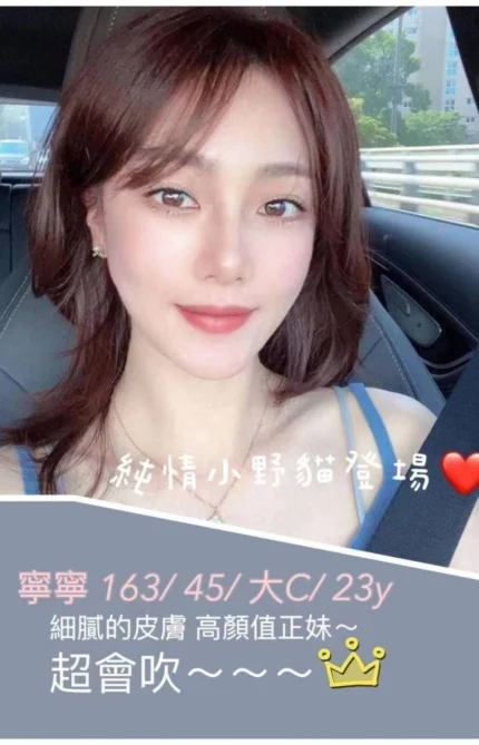 台南外送茶-寧寧/163/45/23/C