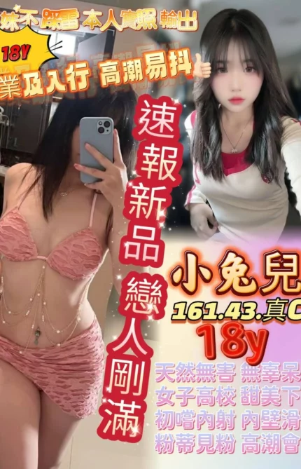 高雄定點茶-小兔兒/161/43/18/C