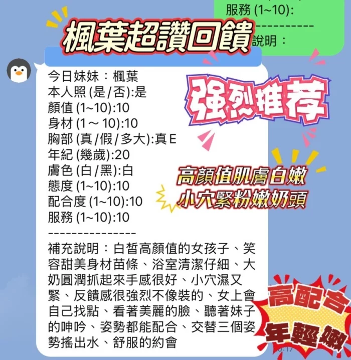 新竹定點茶-楓葉/158/42/20/E