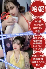 台北定點茶-哈妮/162/48/20/E