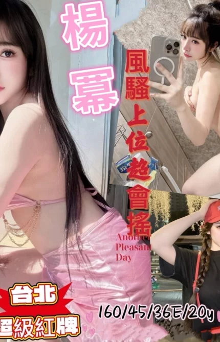 台南定點茶-楊冪/160/45/20/E