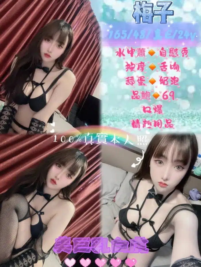 新北定點茶-梅子/165/48/24/E