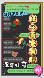 台南定點茶-晴子/158/42/25/E