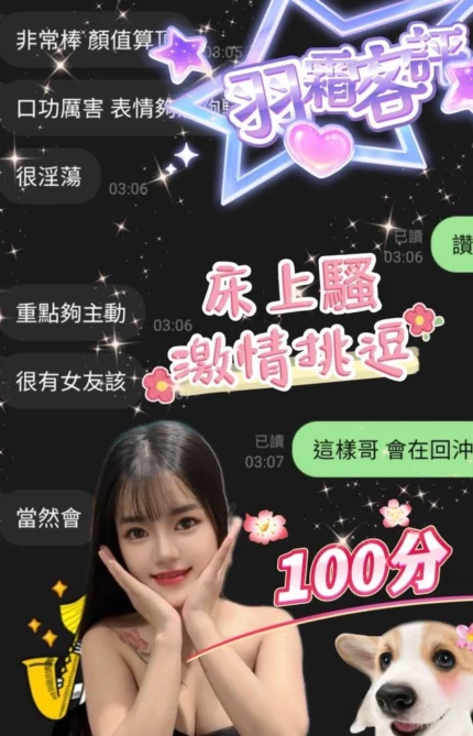 雲林定點茶-羽霜/155/40/?/E