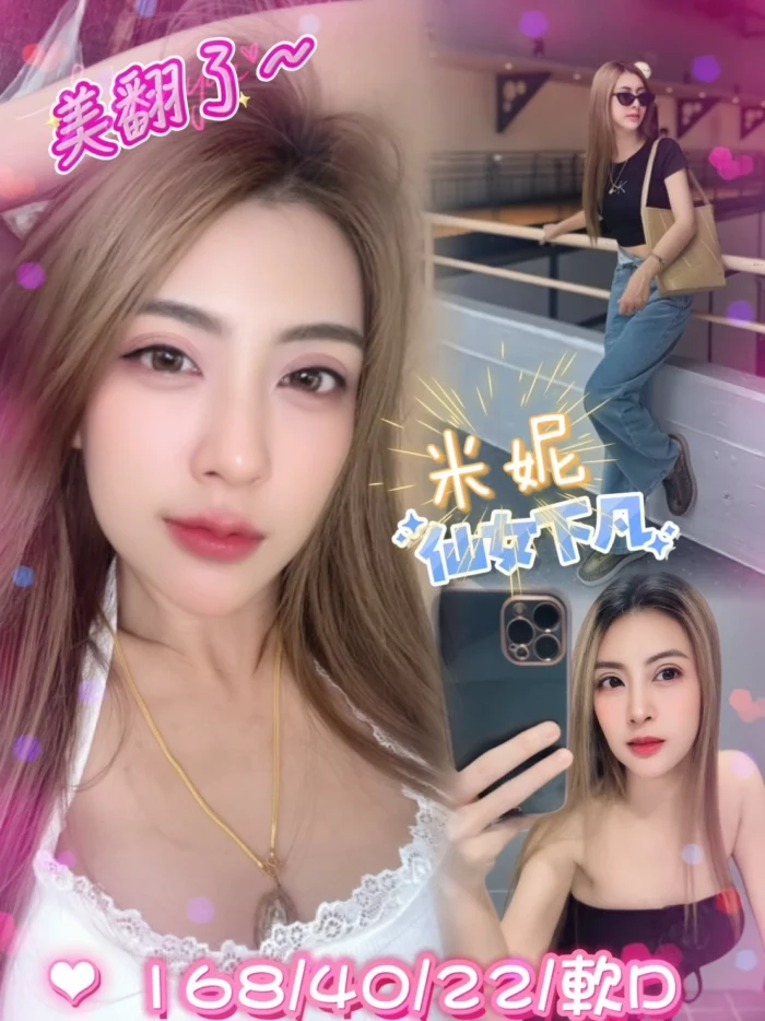 新北定點茶-米妮/168/40/22/D