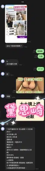 桃園定點茶-黛思崎/160/43/21/E