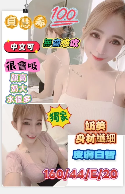 台南定點茶-貞慧希/160/44/20/E
