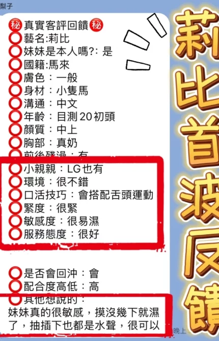 台中定點茶-莉比/153/42/20/C