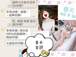 台北定點茶-春天/162/?/26/D
