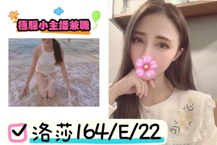台北外送茶-洛莎/164/44/22/E