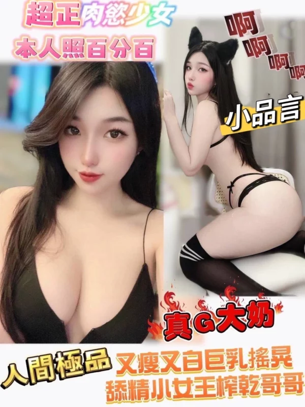 台南定點茶-小品言/166/47/20/G
