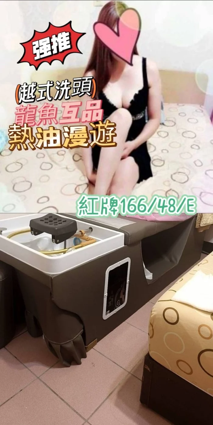 台中定點茶-紅牌/166/48/25/E