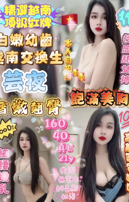 新竹定點茶-芸夜/160/40/21/E