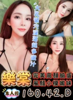 台東定點茶-樂棠/160/42/19/D