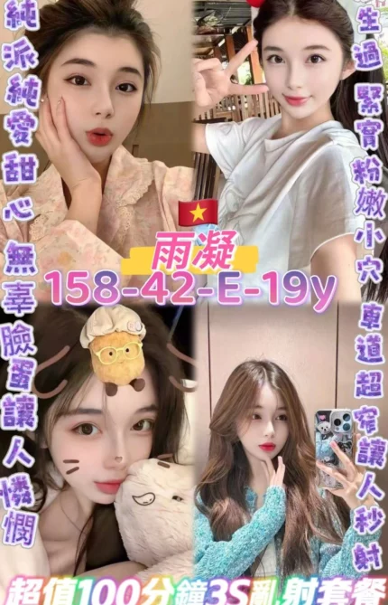 桃園定點茶-雨凝/158/42/19/E