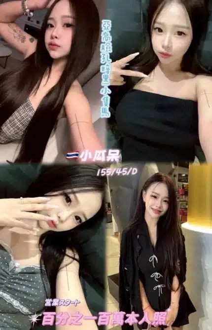 桃園定點茶-小瓜呆/155/45/24/D