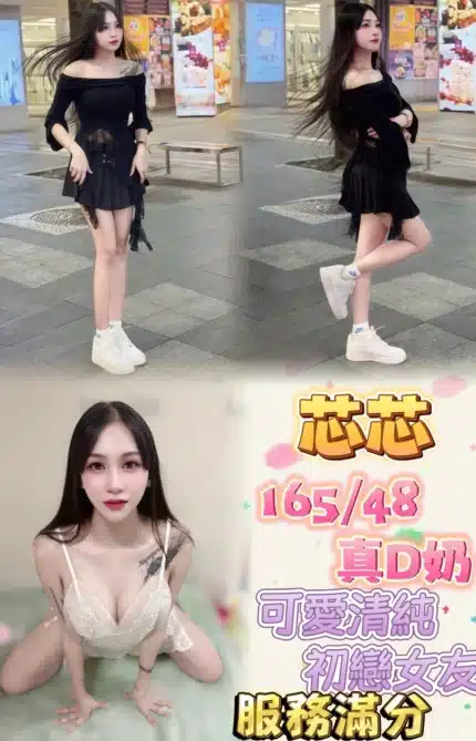 台北定點茶-芯芯/165/48/22/D