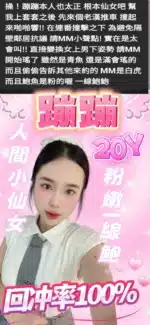 雲林定點茶-蹦蹦/162/49/?/D