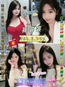 台北定點茶-孫芸芸/158/48/20/E