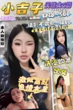 桃園定點茶-小吉子/160/45/18/C