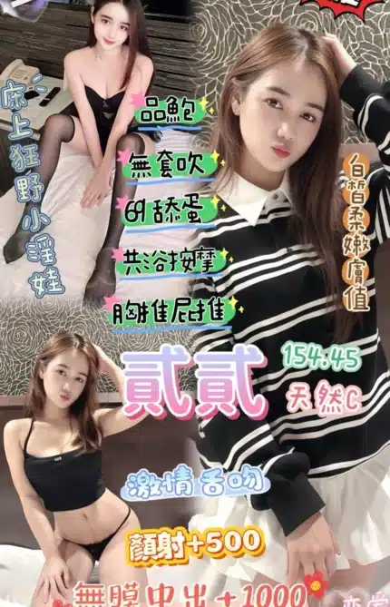 桃園定點茶-貳貳/154/45/20/C