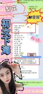 新竹定點茶-梨花/156/41/20/C