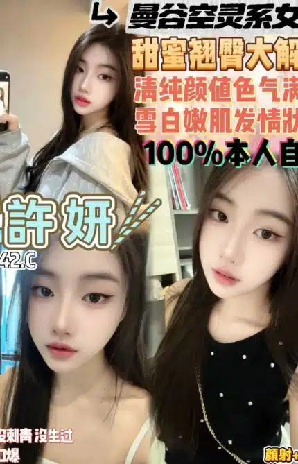 桃園定點茶-許妍/155/42/19/C