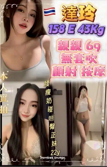 新北定點茶-達玲/158/43/22/E
