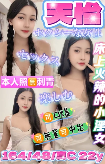 台東定點茶-天怡/164/48/22/C