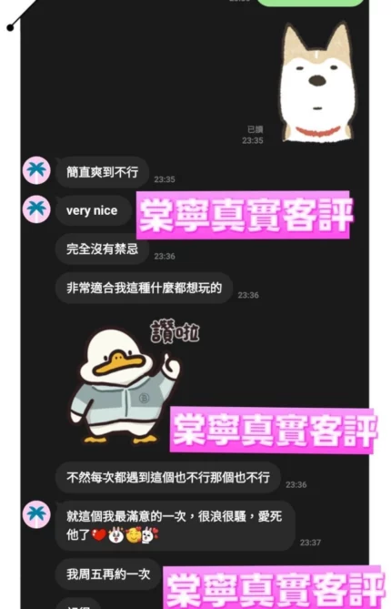 桃園定點茶-棠寧/156/45/21/D